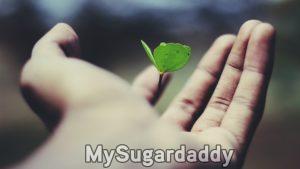 luxo e sustentabilidade